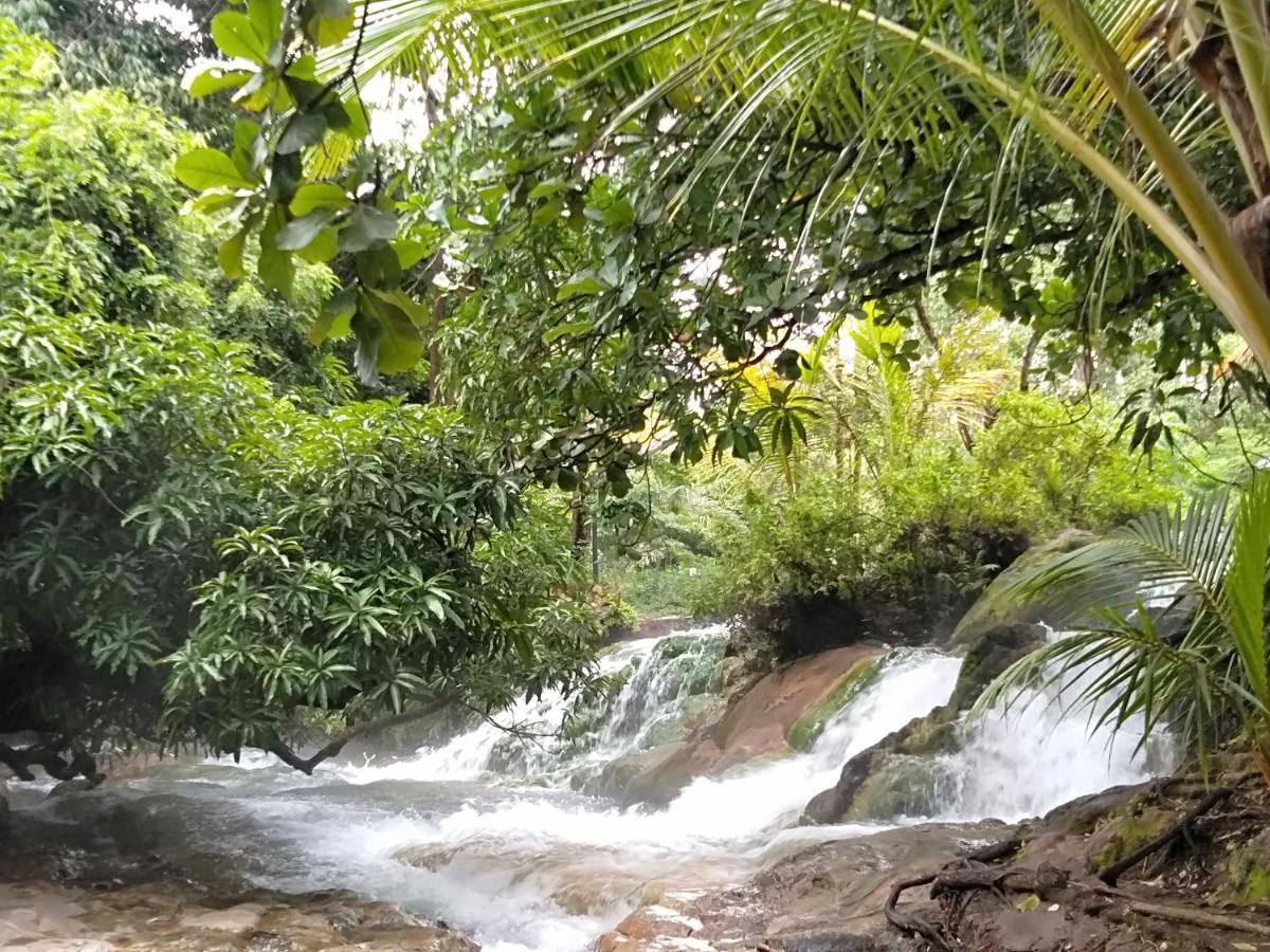 Arnolds Familly Homestay Bajawa エクステリア 写真