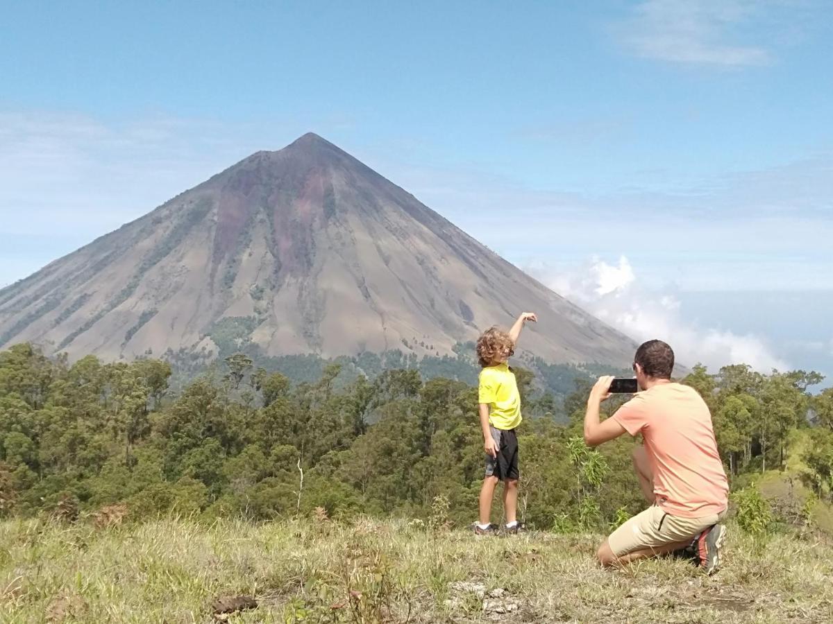 Arnolds Familly Homestay Bajawa エクステリア 写真